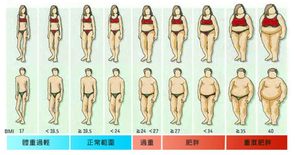 增 肌 減 脂 恆 麗 美 型 蔡 家 碩 抽 脂 推 薦 台 灣 抽 脂 局 部 減 脂 脂 肪 生 成 脂... 