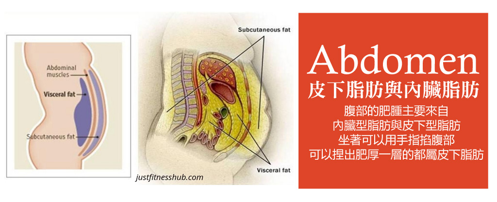 抽脂腹部特輯_抽脂腹部_腹部減脂_腰內肉消除_減少腹部脂肪_抽脂腹部推薦_恆麗美型_蔡家碩_03