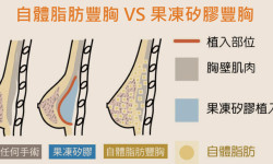 【豐胸食物無效】 青木瓜豐胸根本沒效 豐胸食物文章不會告訴您的關鍵(2-4)