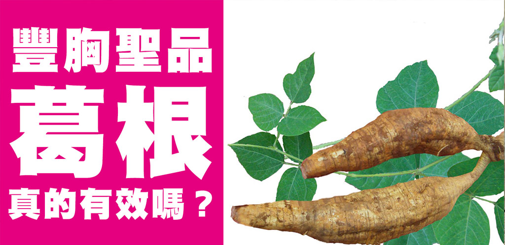 豐胸偏方_豐胸偏方野葛根_豐胸偏方植物雌激素_豐胸偏方大豆異黃酮_04