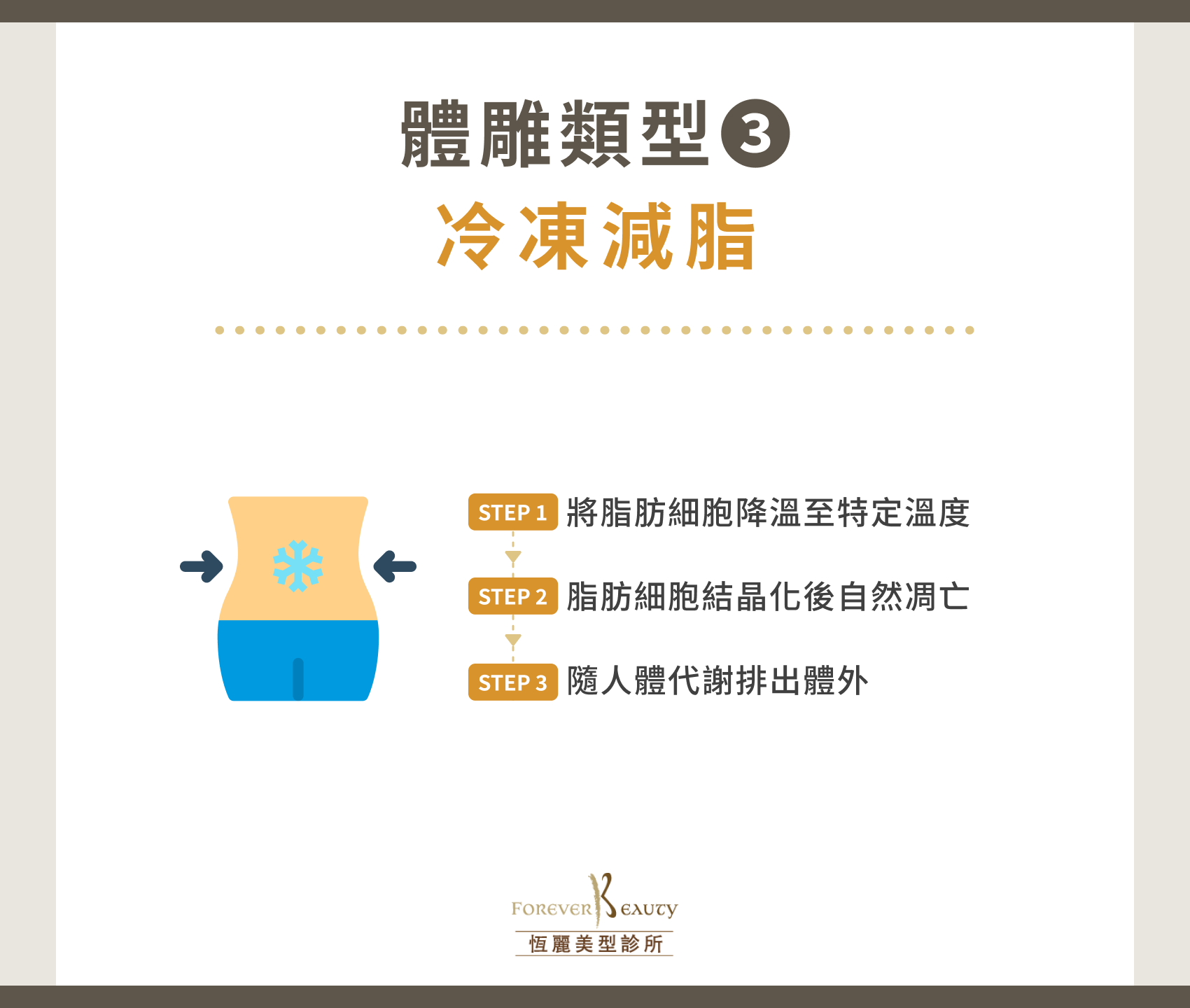 體雕類型 3:冷凍減脂